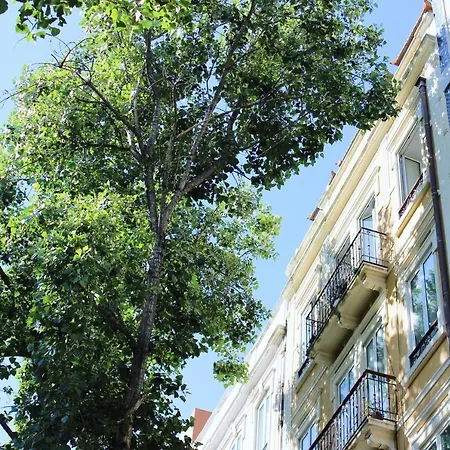 Apartamento Marquês De Pombal, Around Trees