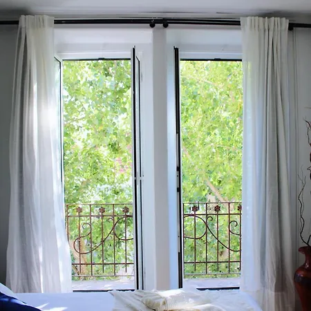 Apartment Marques De Pombal, Around Trees *